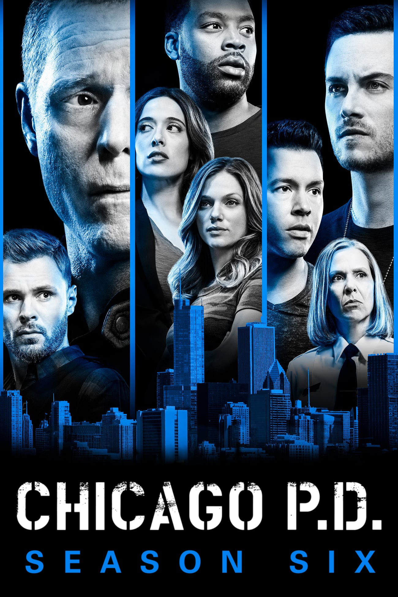 Chicago Police Department - Saison 6 flemmix