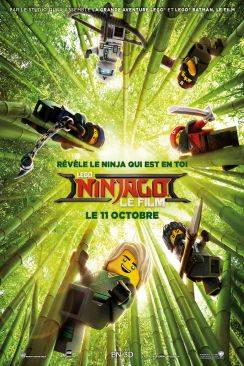 LEGO Ninjago : Le Film (The LEGO Ninjago Movie) flemmix