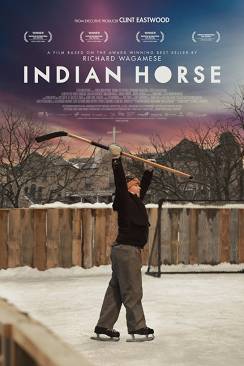 Indian Horse flemmix