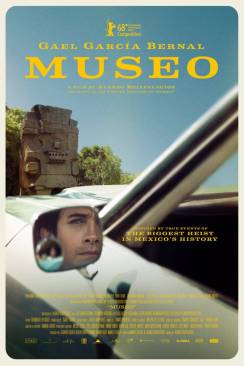 Museo flemmix