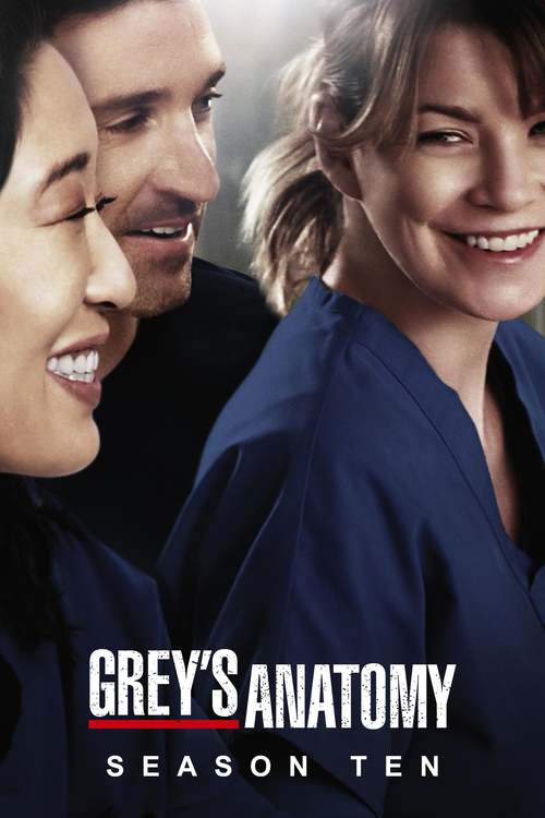 Grey's Anatomy - Saison 10 flemmix