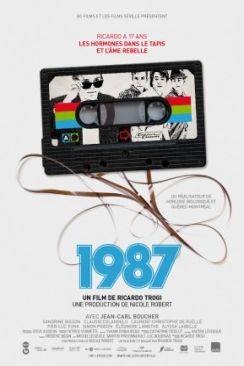 1987 flemmix