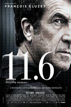 11.6 flemmix