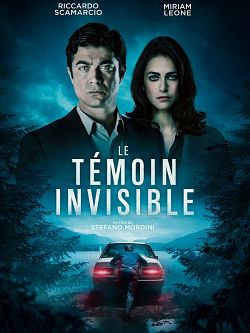 Le Témoin invisible flemmix