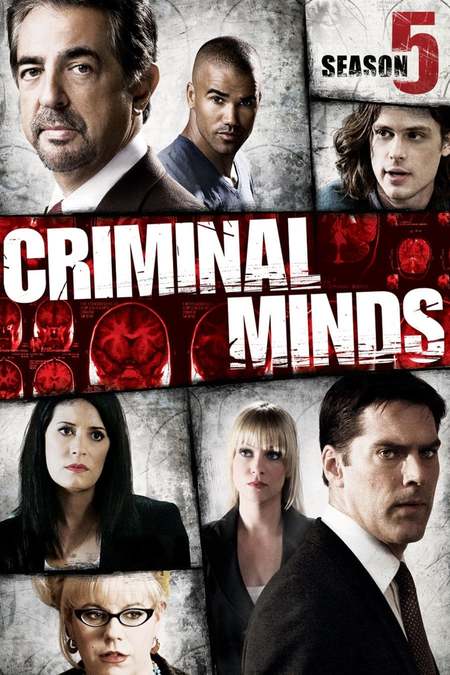 Esprits Criminels - Saison 5 flemmix