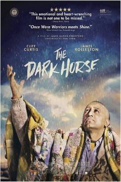 The dark horse flemmix