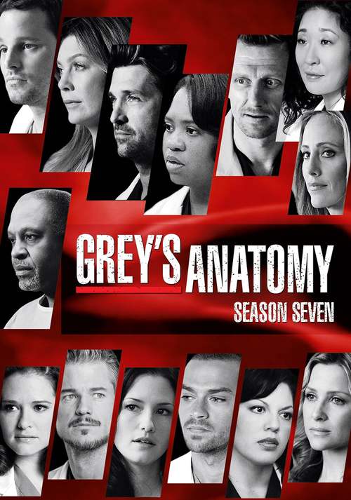 Grey's Anatomy - Saison 7 flemmix