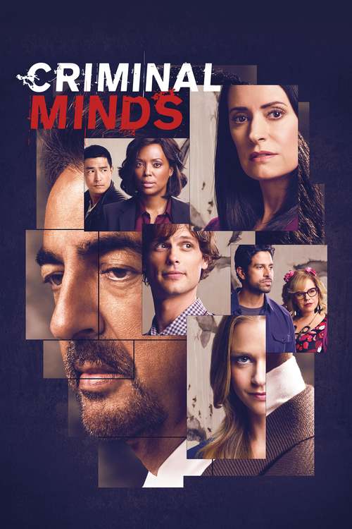 Esprits Criminels - Saison 15 flemmix
