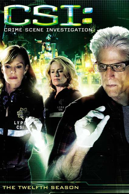 Les Experts - Saison 12 flemmix