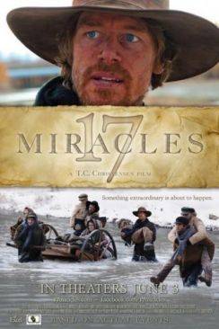 17 Miracles flemmix