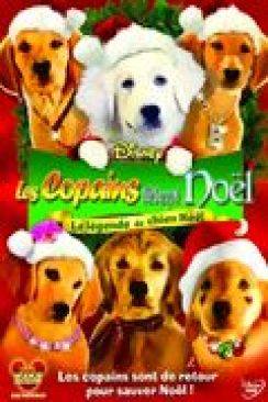 Les Copains fêtent Noël (Santa Buddies) flemmix