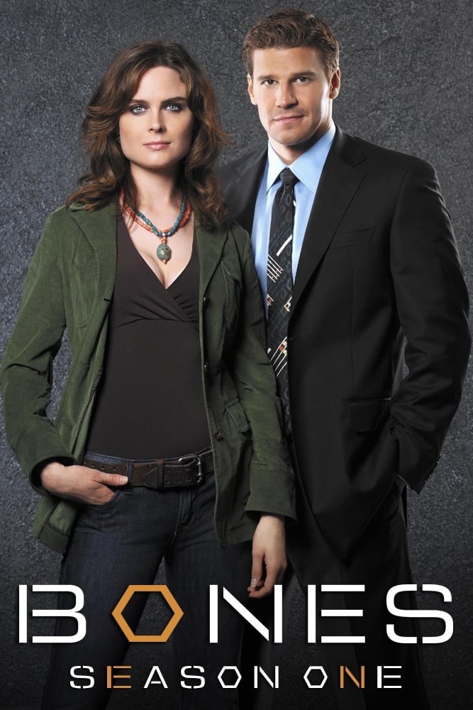 Bones - Saison 1 flemmix
