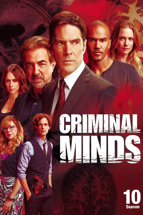 Esprits Criminels - Saison 10 flemmix