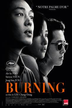 Burning flemmix