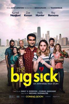 The Big Sick flemmix