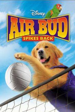Airbud 5 : superstar (Air Bud : Spikes Back) flemmix