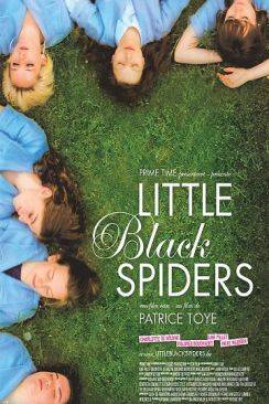 Little black spiders flemmix