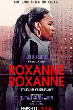 Roxanne Roxanne flemmix