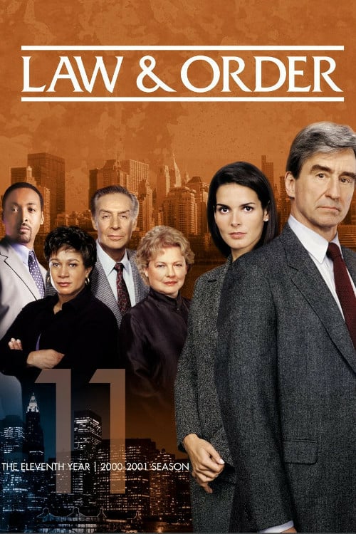 New York District / New York Police Judiciaire - Saison 11 flemmix