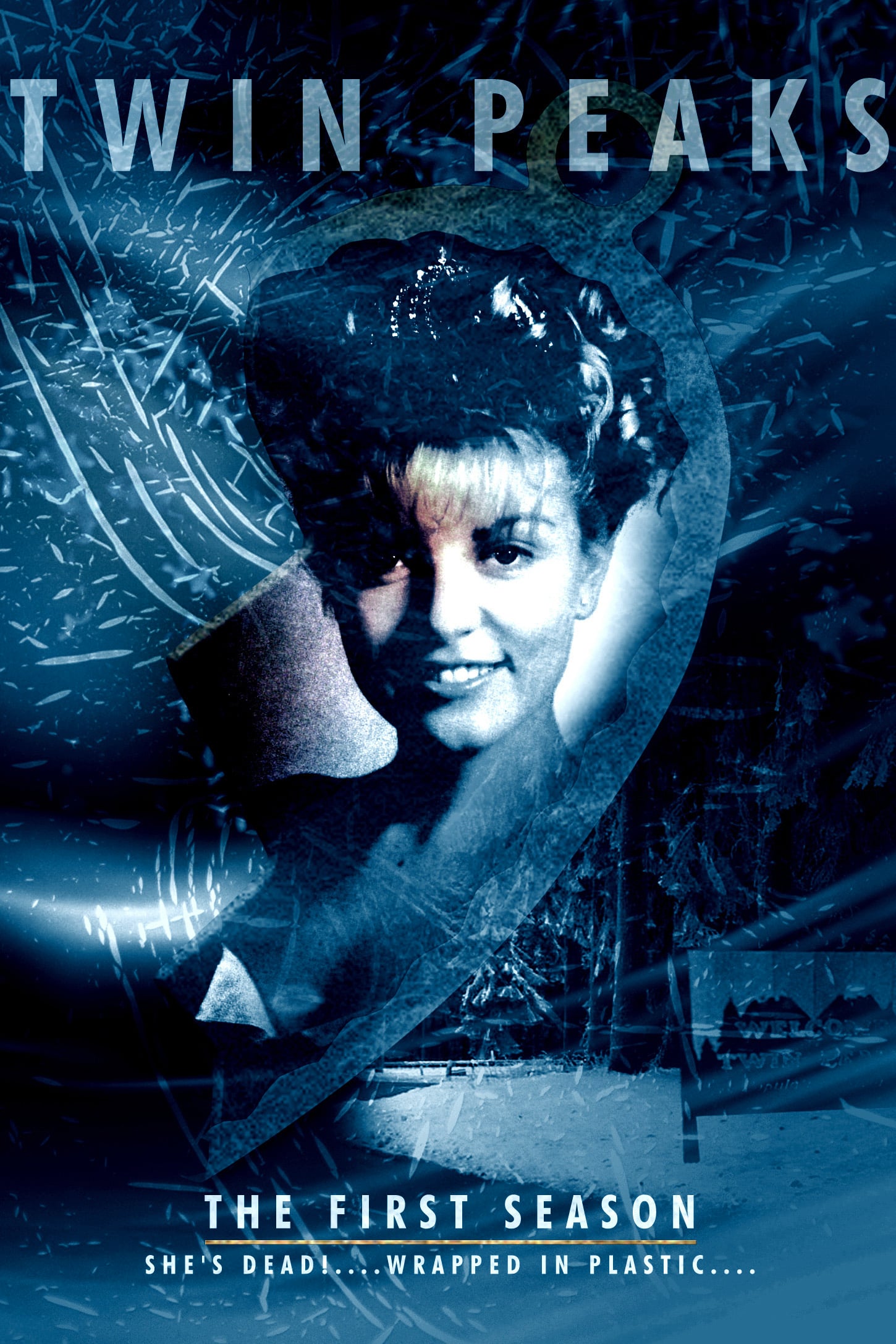 Twin Peaks - Saison 1 flemmix