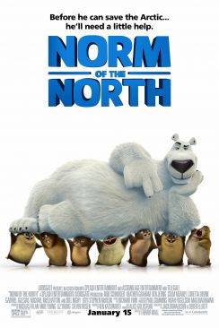 Norm flemmix