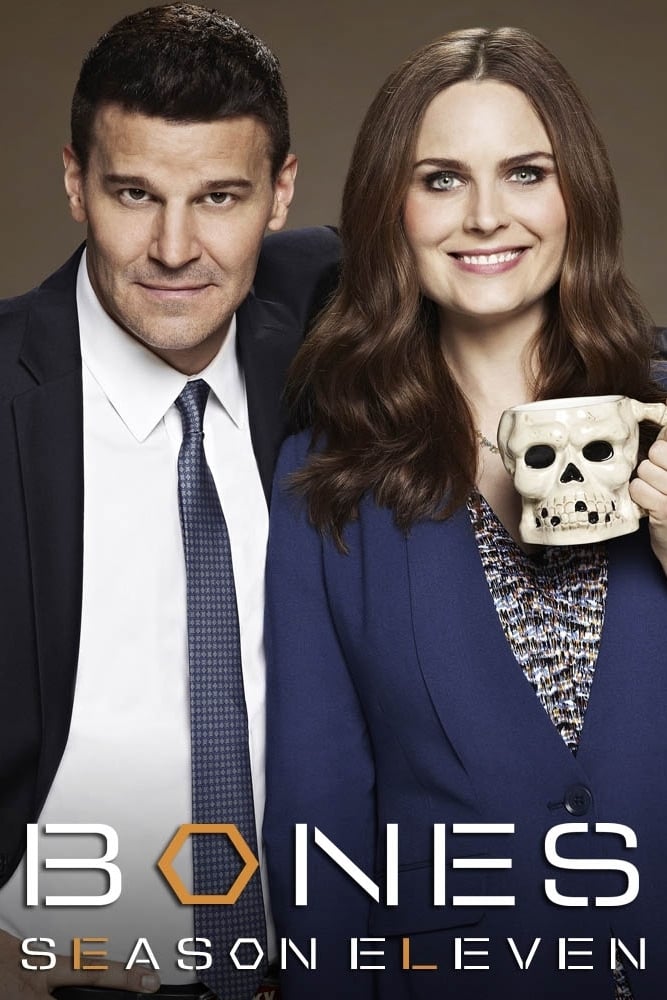 Bones - Saison 11 flemmix