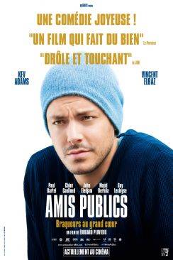 Amis publics flemmix