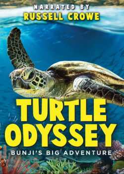 Turtle Odyssey flemmix