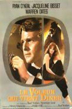 Le Voleur qui vient diner (The Thief who came to Dinner) flemmix