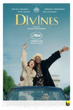 Divines flemmix