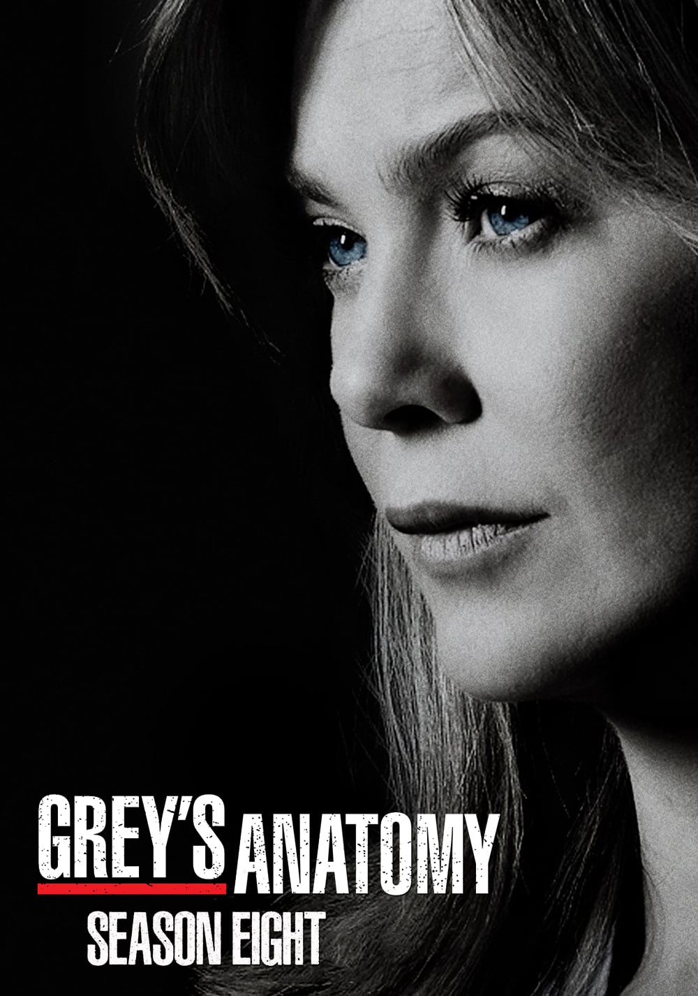 Grey's Anatomy - Saison 8 flemmix