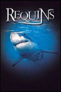 Le Monde des requins - Requins 3D (Sharks 3D) flemmix
