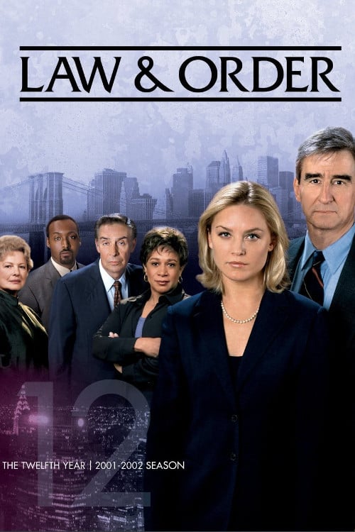 New York District / New York Police Judiciaire - Saison 12 flemmix