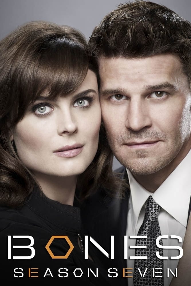 Bones - Saison 7 flemmix