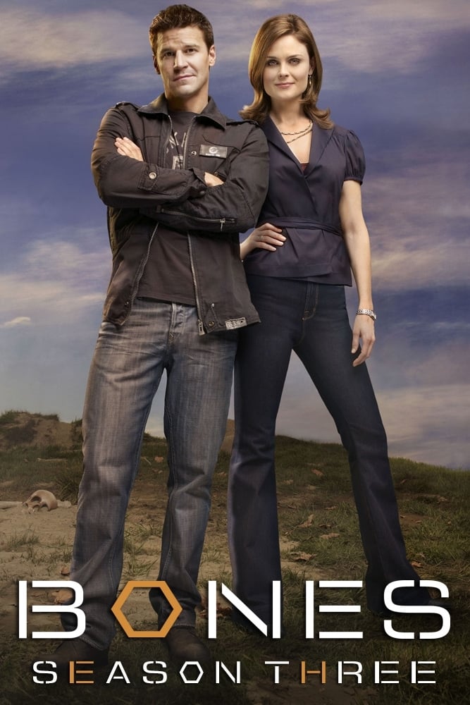 Bones - Saison 3 flemmix