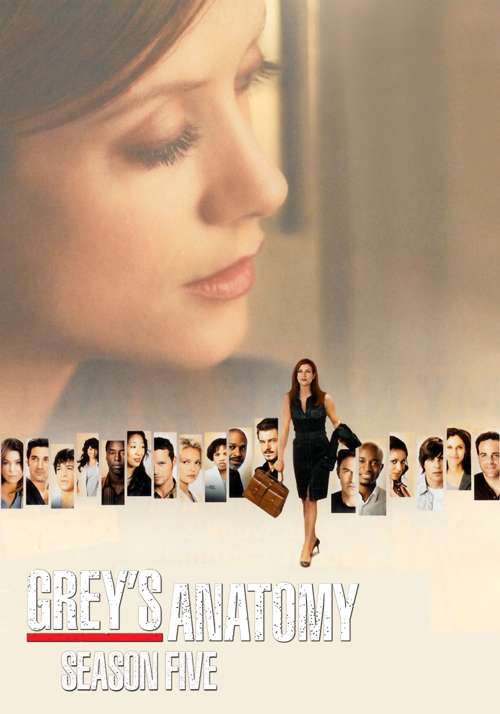 Grey's Anatomy - Saison 5 flemmix
