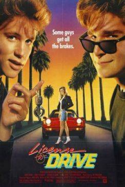 License to drive flemmix
