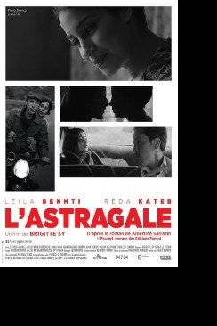 L'Astragale flemmix
