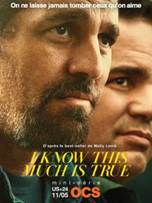 I Know This Much Is True - Saison 1 flemmix