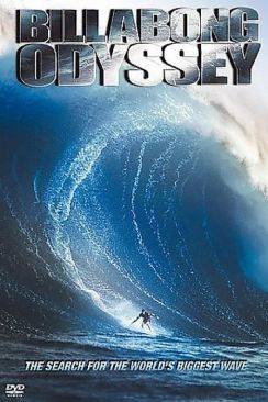 Billabong Odyssey flemmix
