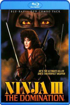 Ninja 3 : la domination (Ninja III: The Domination) flemmix