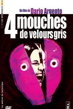 Quatre mouches de velours gris (4 Mosche di Velluto Grigio) flemmix