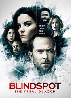 Blindspot - Saison 5 flemmix