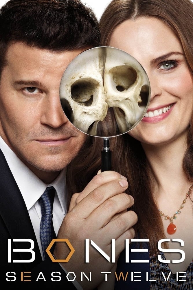Bones - Saison 12 flemmix