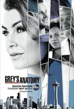 Grey's Anatomy - Saison 16 flemmix