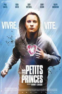 Les Petits princes flemmix