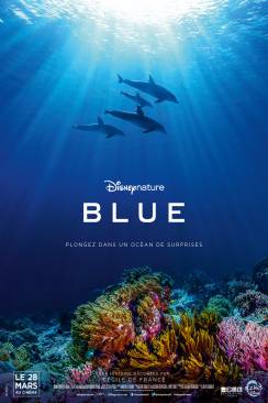 Blue (Dolphins) flemmix
