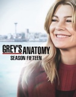 Grey's Anatomy - Saison 15 flemmix