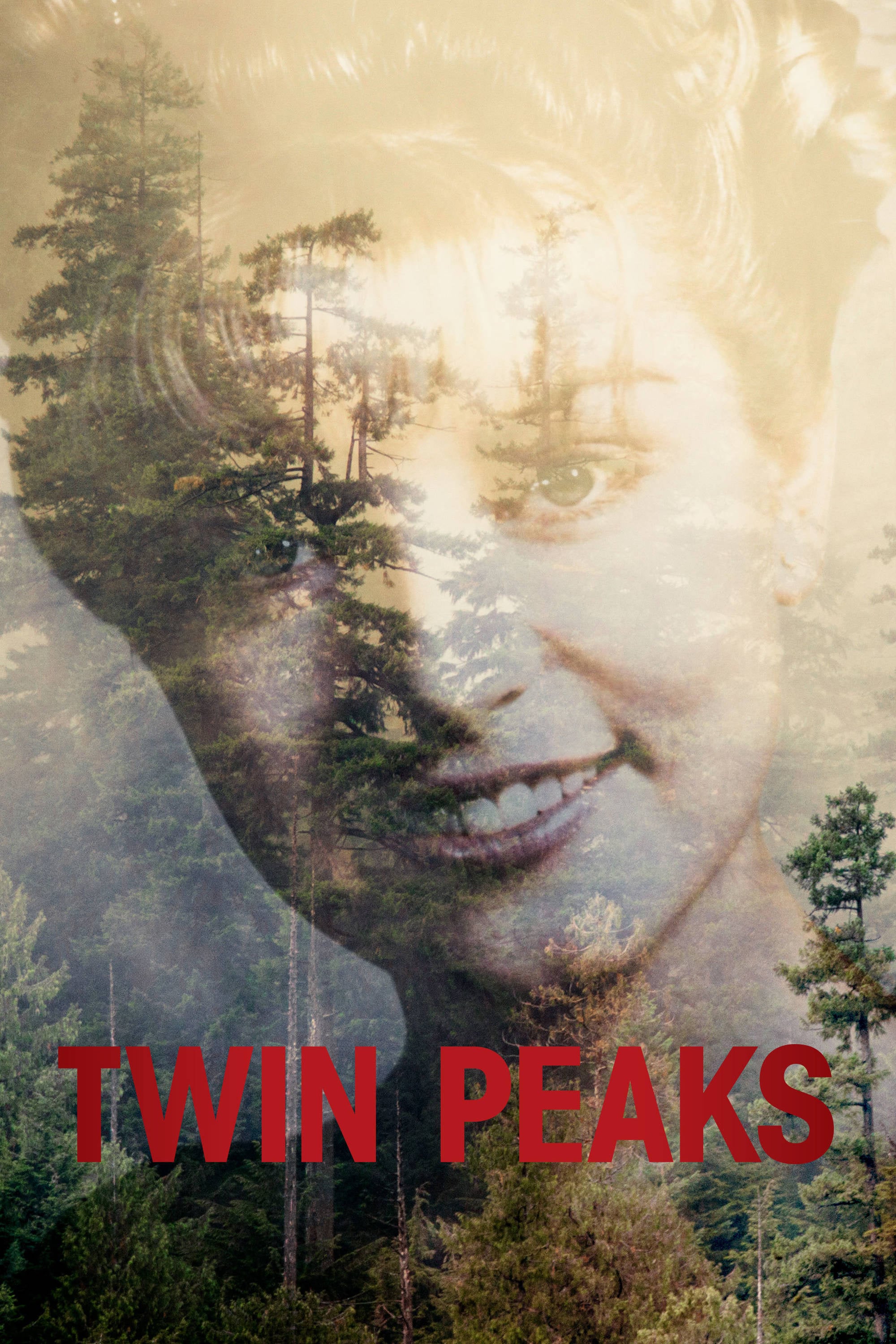 Twin Peaks - Saison 3 flemmix