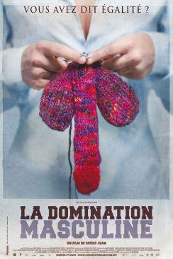 La Domination masculine flemmix